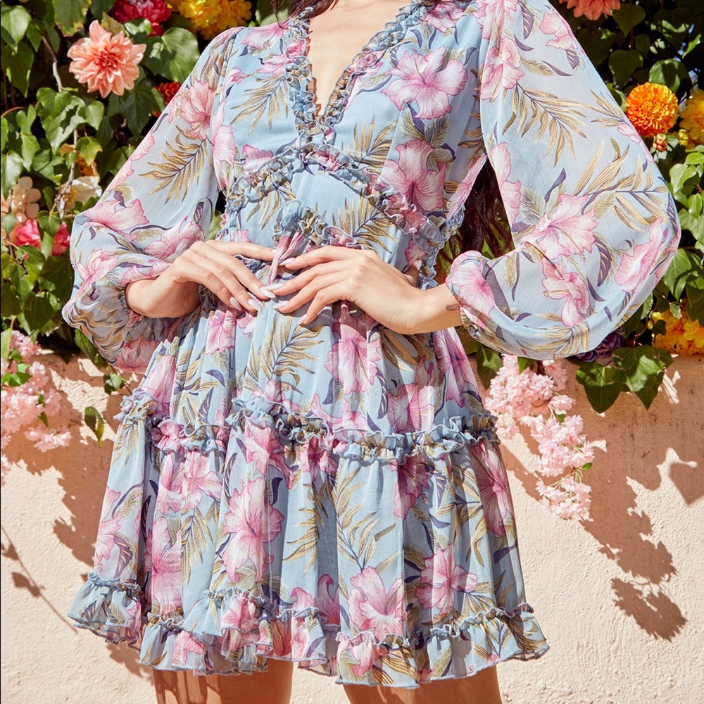 Fashion Nova dress!